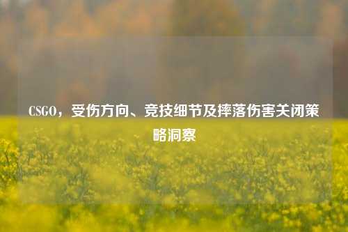 CSGO，受伤方向、竞技细节及摔落伤害关闭策略洞察