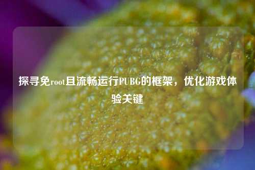 探寻免root且流畅运行PUBG的框架,优化游戏体验关键
