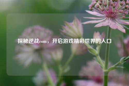 探秘逆战com，开启游戏精彩世界的入口