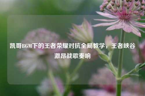 凯哥BGM下的王者荣耀对抗全局教学，王者峡谷激昂战歌奏响
