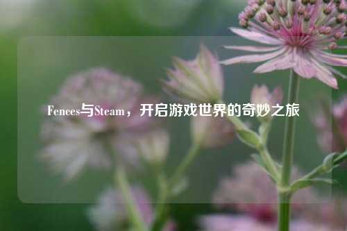 Fences与Steam,开启游戏世界的奇妙之旅