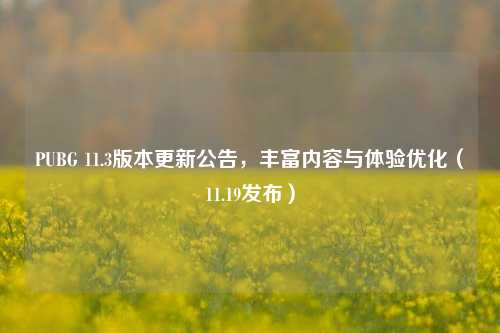 PUBG 11.3版本更新公告，丰富内容与体验优化（11.19发布）