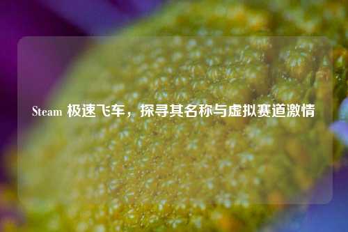 Steam 极速飞车，探寻其名称与虚拟赛道激情