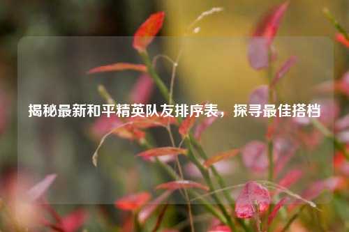 揭秘最新和平精英队友排序表，探寻最佳搭档
