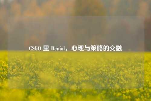 CSGO 里 Denial，心理与策略的交融