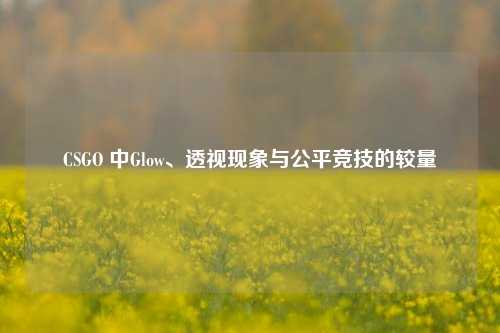 CSGO 中Glow、透视现象与公平竞技的较量