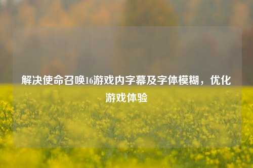 解决使命召唤16游戏内字幕及字体模糊，优化游戏体验