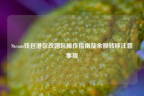 Steam钱包港区改国区操作指南及余额转移注意事项