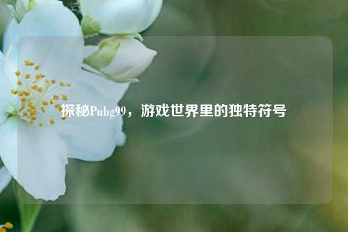 探秘Pubg99，游戏世界里的独特符号