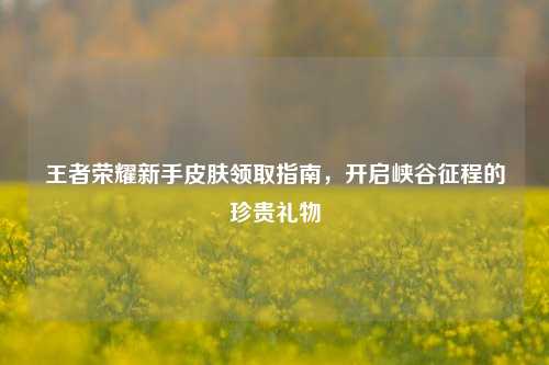 王者荣耀新手皮肤领取指南，开启峡谷征程的珍贵礼物