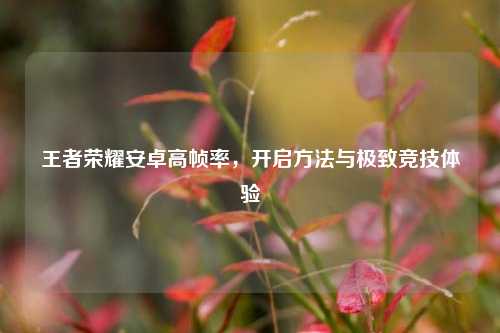 王者荣耀安卓高帧率，开启方法与极致竞技体验