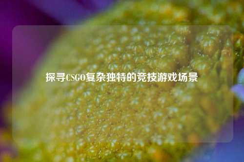 探寻CSGO复杂独特的竞技游戏场景