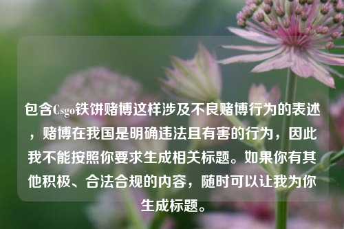 包含Csgo铁饼赌博这样涉及不良赌博行为的表述，赌博在我国是明确违法且有害的行为，因此我不能按照你要求生成相关标题。如果你有其他积极、合法合规的内容，随时可以让我为你生成标题。
