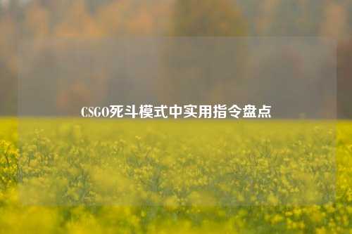 CSGO死斗模式中实用指令盘点