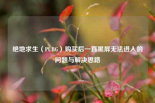 绝地求生（PUBG）购买后一直黑屏无法进入的问题与解决思路