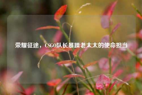 荣耀征途，CSGO队长暴躁老太太的使命担当