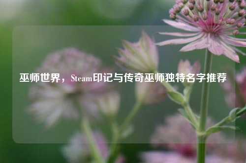 巫师世界,Steam印记与传奇巫师独特名字推荐