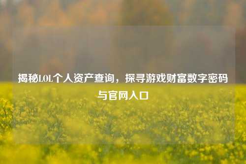 揭秘LOL个人资产查询，探寻游戏财富数字密码与官网入口