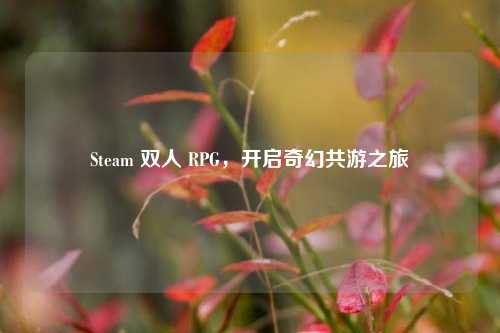 Steam 双人 RPG,开启奇幻共游之旅
