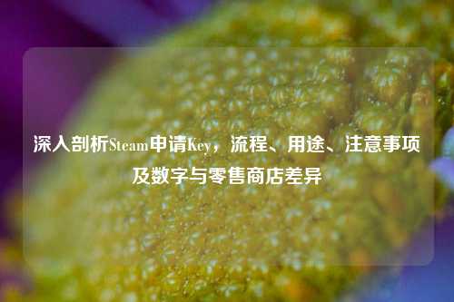 深入剖析Steam申请Key，流程、用途、注意事项及数字与零售商店差异
