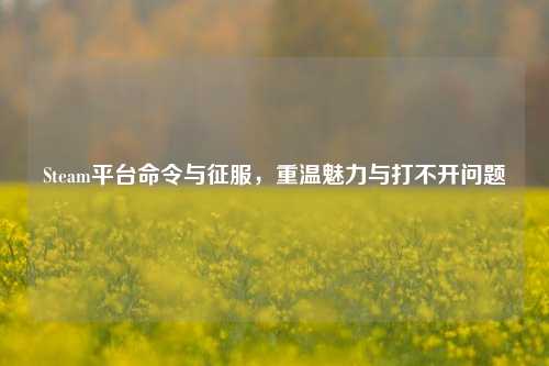 Steam平台命令与征服，重温魅力与打不开问题