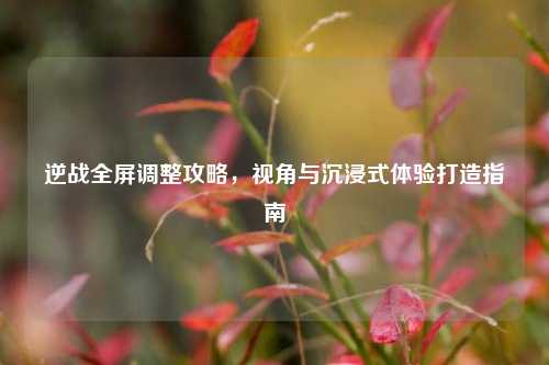 逆战全屏调整攻略，视角与沉浸式体验打造指南