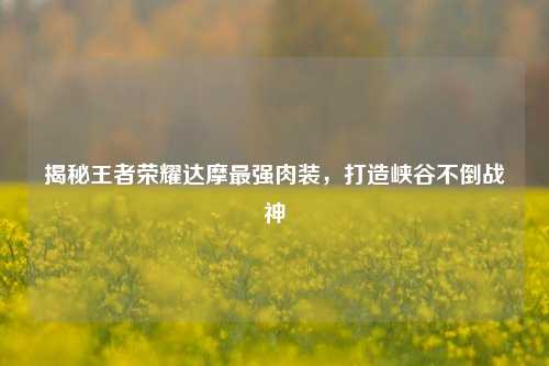 揭秘王者荣耀达摩最强肉装，打造峡谷不倒战神