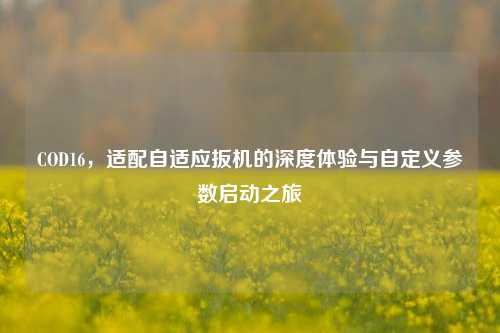 COD16，适配自适应扳机的深度体验与自定义参数启动之旅