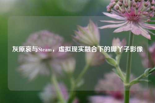 灰原哀与Steam,虚拟现实融合下的脚丫子影像
