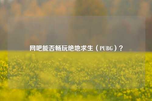 网吧能否畅玩绝地求生（PUBG）？
