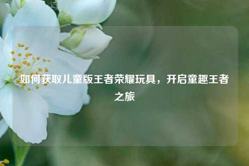 如何获取儿童版王者荣耀玩具，开启童趣王者之旅