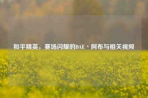 和平精英，赛场闪耀的DAE丶阿布与相关视频
