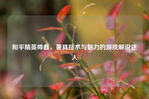 和平精英帅鑫，兼具技术与魅力的游戏解说达人
