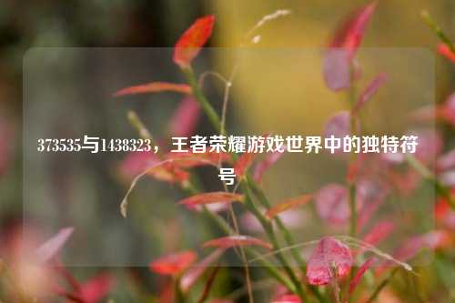 373535与1438323，王者荣耀游戏世界中的独特符号