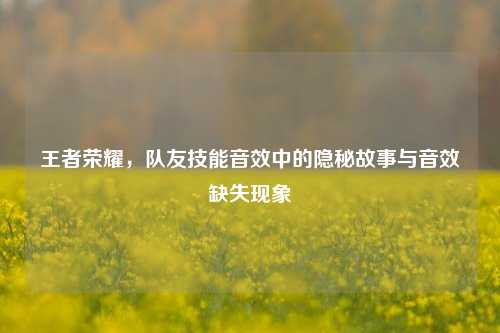 王者荣耀，队友技能音效中的隐秘故事与音效缺失现象