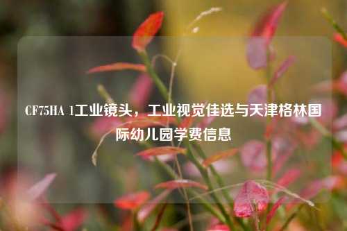 CF75HA 1工业镜头，工业视觉佳选与天津格林国际幼儿园学费信息