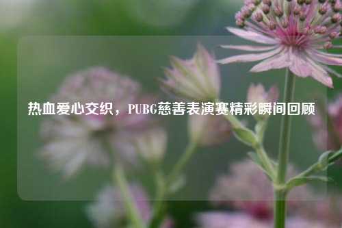 热血爱心交织，PUBG慈善表演赛精彩瞬间回顾