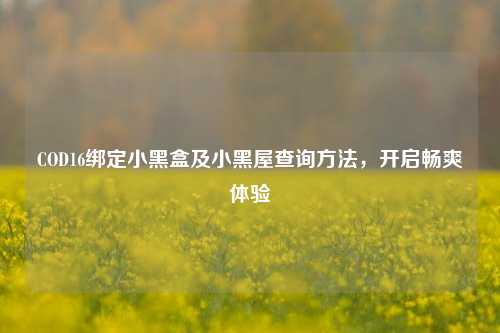 COD16绑定小黑盒及小黑屋查询方法，开启畅爽体验