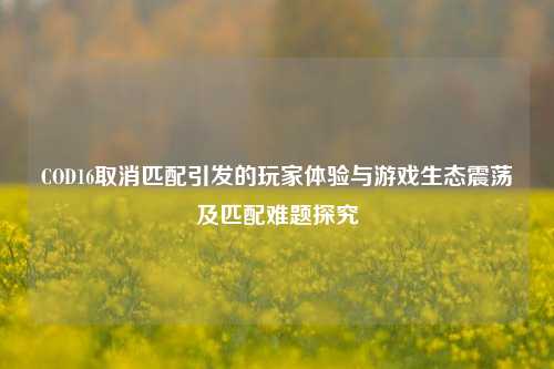 COD16取消匹配引发的玩家体验与游戏生态震荡及匹配难题探究