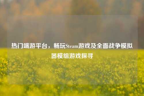 热门端游平台，畅玩Steam游戏及全面战争模拟器模组游戏探寻