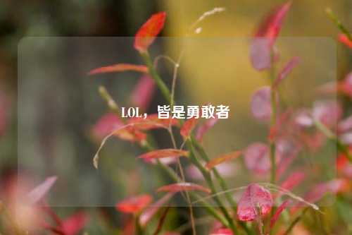 LOL，皆是勇敢者