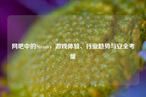网吧中的Steam，游戏体验、行业趋势与安全考量