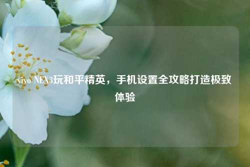 vivo NEX3玩和平精英，手机设置全攻略打造极致体验