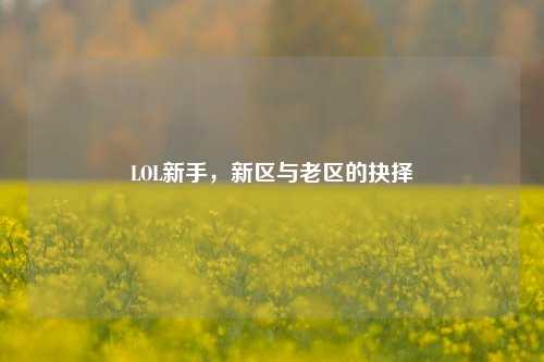 LOL新手，新区与老区的抉择