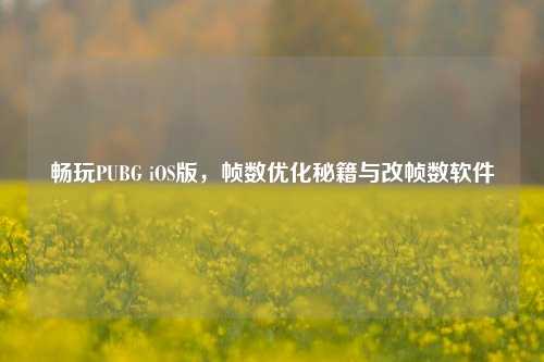畅玩PUBG iOS版,帧数优化秘籍与改帧数软件