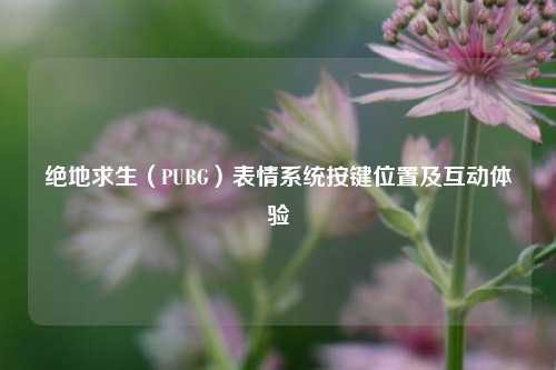 绝地求生（PUBG）表情系统按键位置及互动体验
