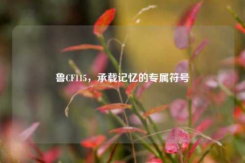 鲁CF115，承载记忆的专属符号