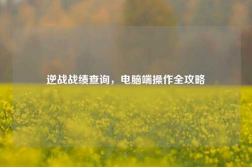 逆战战绩查询，电脑端操作全攻略