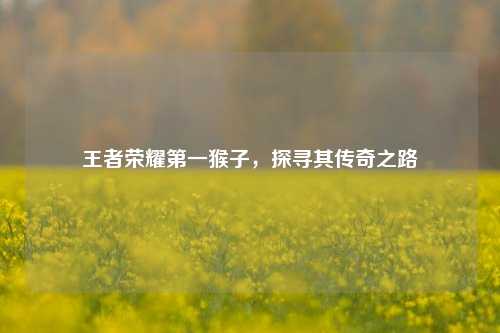 王者荣耀第一猴子,探寻其传奇之路