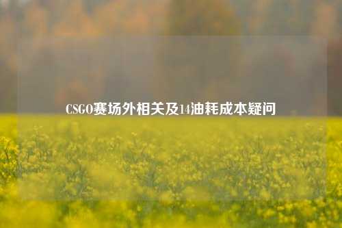 CSGO赛场外相关及14油耗成本疑问